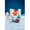 Calendrier de l'Avent Satisfyer Premium 2025