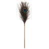 Plumeau à caresses Peacock Tickler - Taboom