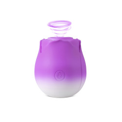 Stimulateur à aspiration et vibrations Blossom Pulse - DIK